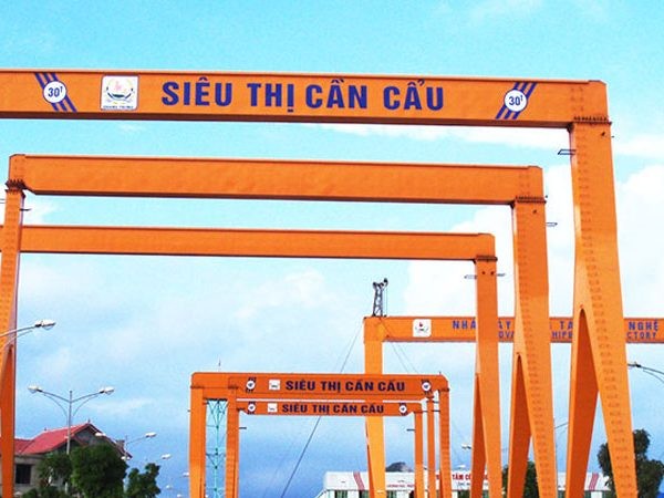 Cầu trục dầm đôi có những loại tải trọng nào?